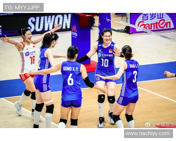 实时新闻排球装备选购指南如何选择适合的护膝产品推荐