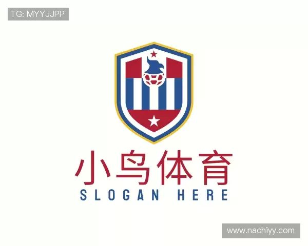 关于小鸟体育